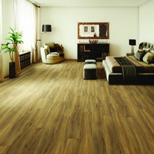 Parkway Pro Dryback